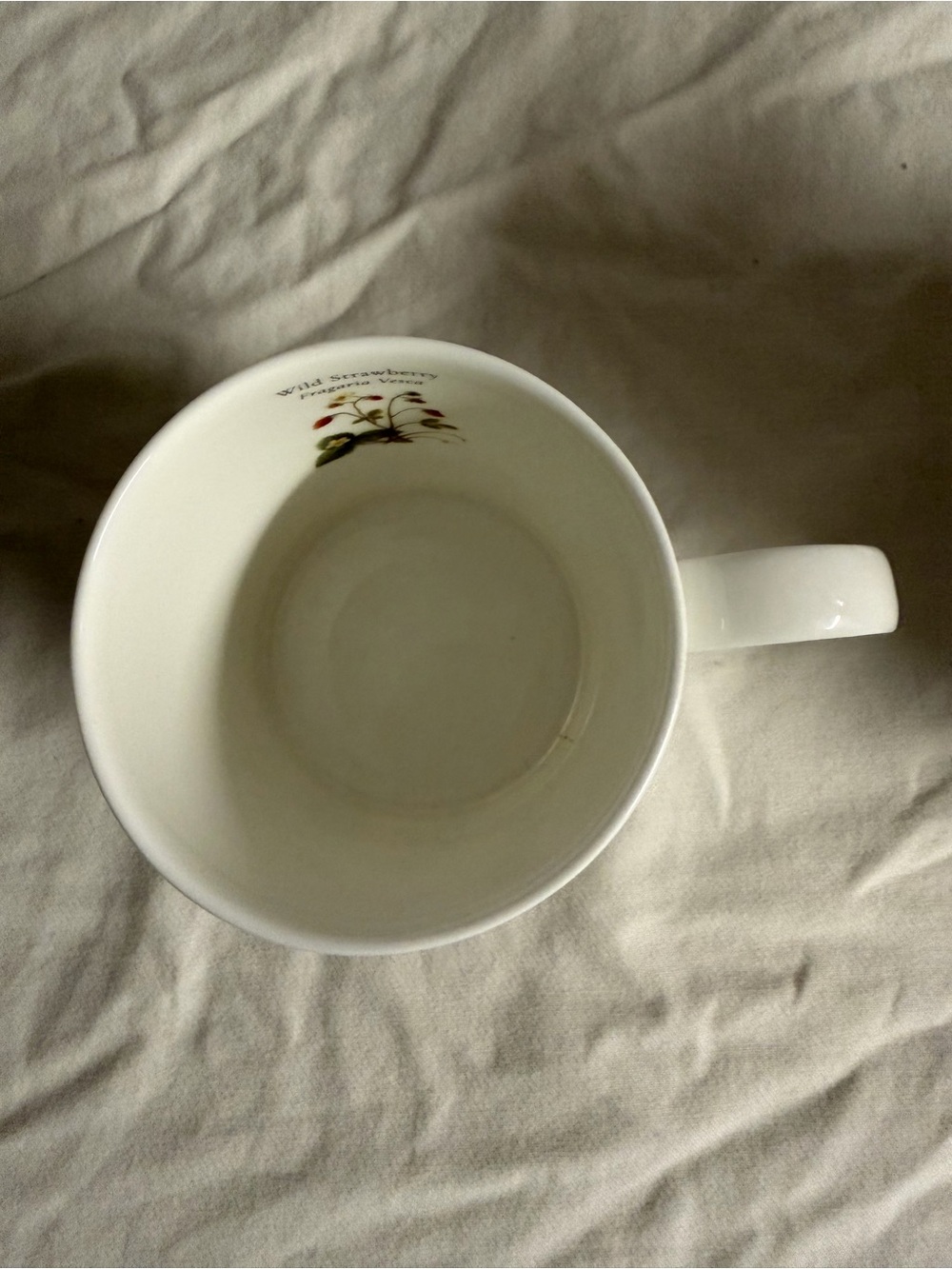 Botanical Ceramic Mug - White with Red Accents - Picture 4 of 4